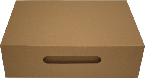Cutii Pantofi Natur 30x20x9.5 Cm (Pret la 50 buc)