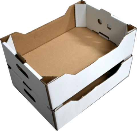 Ladite Transport (CO3 A) 30x40x12 cm Albe (Pret la 50 buc)