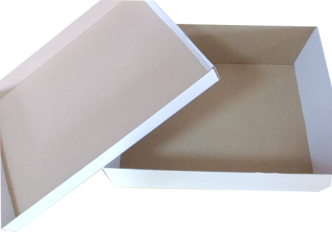 Cutii Cizme Cu Capac Separat 53.5x28x10 cm Albe \ Natur