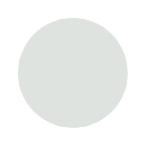 Disc Alb D9 cm (carton gros) (Pret la 250 buc)